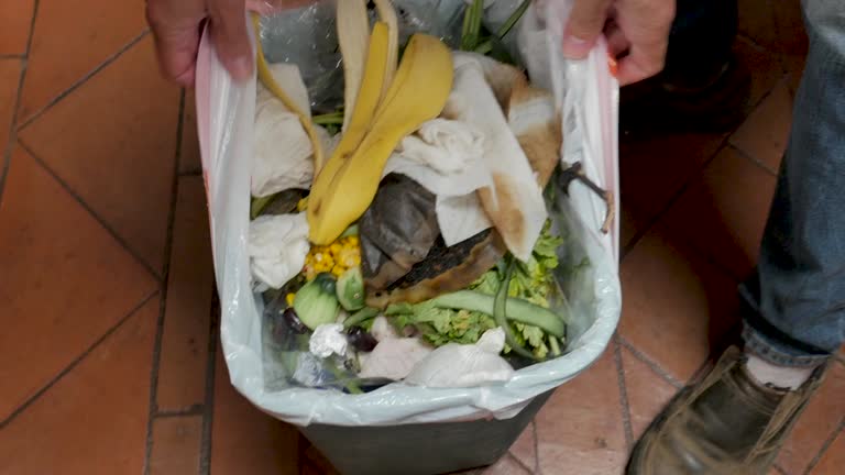 Best Recycling Services for Junk  in Shady Spring, WV